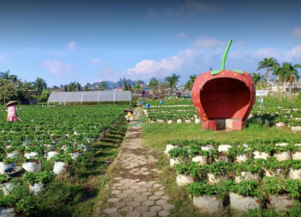 Villa Musti Green Apple Cipanas Sindanglaya Eksteriør billede
